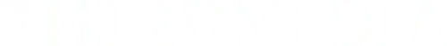 ThirdMedia Logo